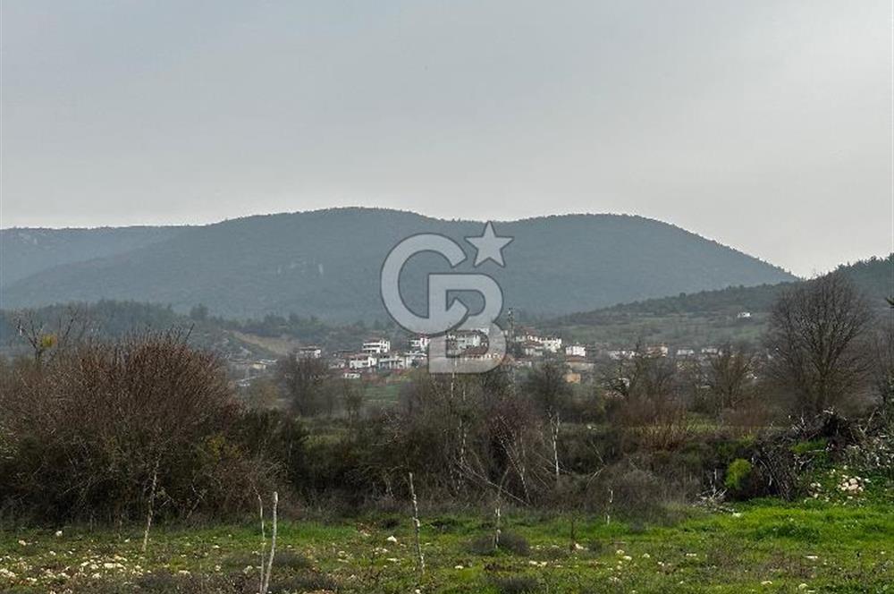 BİLECİK GÖLPAZARI KARAAĞAÇ KÜME EVLER'DE SATILIK 2163 M2 TARLA