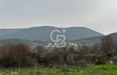 BİLECİK GÖLPAZARI KARAAĞAÇ KÜME EVLER'DE SATILIK 2163 M2 TARLA