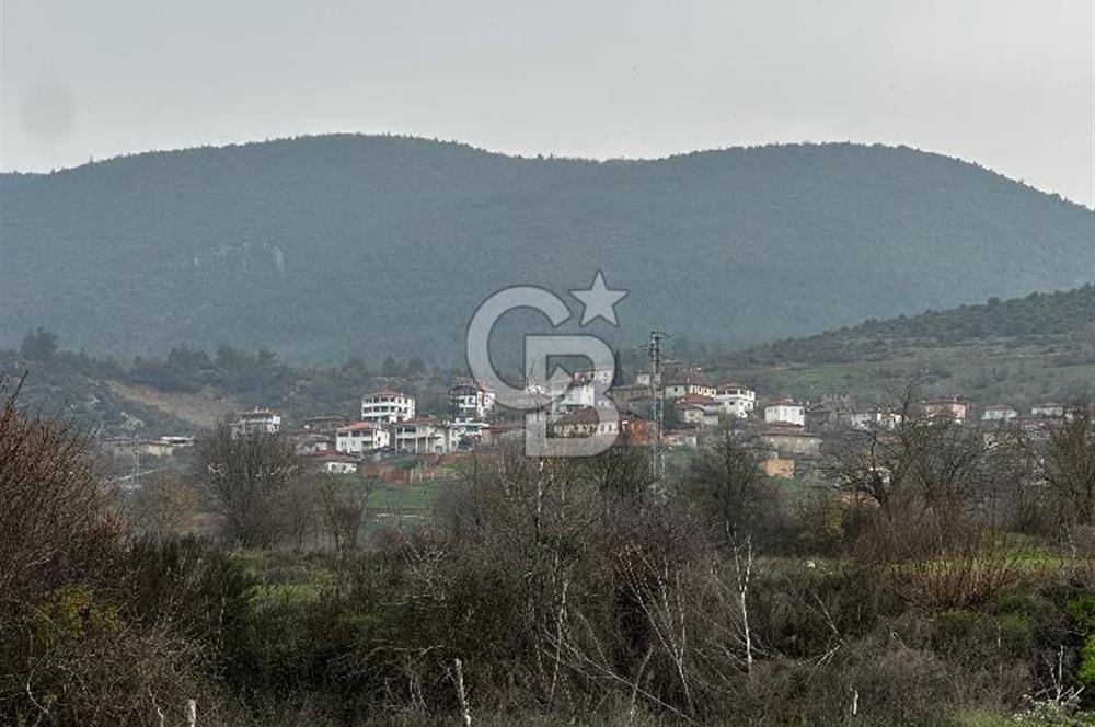 BİLECİK GÖLPAZARI KARAAĞAÇ KÜME EVLER'DE SATILIK 2163 M2 TARLA