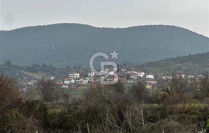 BİLECİK GÖLPAZARI KARAAĞAÇ KÜME EVLER'DE SATILIK 2163 M2 TARLA