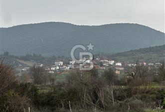 BİLECİK GÖLPAZARI KARAAĞAÇ KÜME EVLER'DE SATILIK 2163 M2 TARLA - 1 - 328363