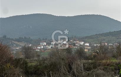 BİLECİK GÖLPAZARI KARAAĞAÇ KÜME EVLER'DE SATILIK 2163 M2 TARLA