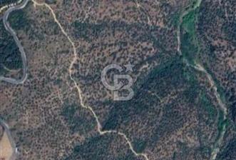  SATILIK AYDIN YENİPAZAR MAHALLESİNDE 2 PARSEL ZEYTİNLİK - 4 - 328343