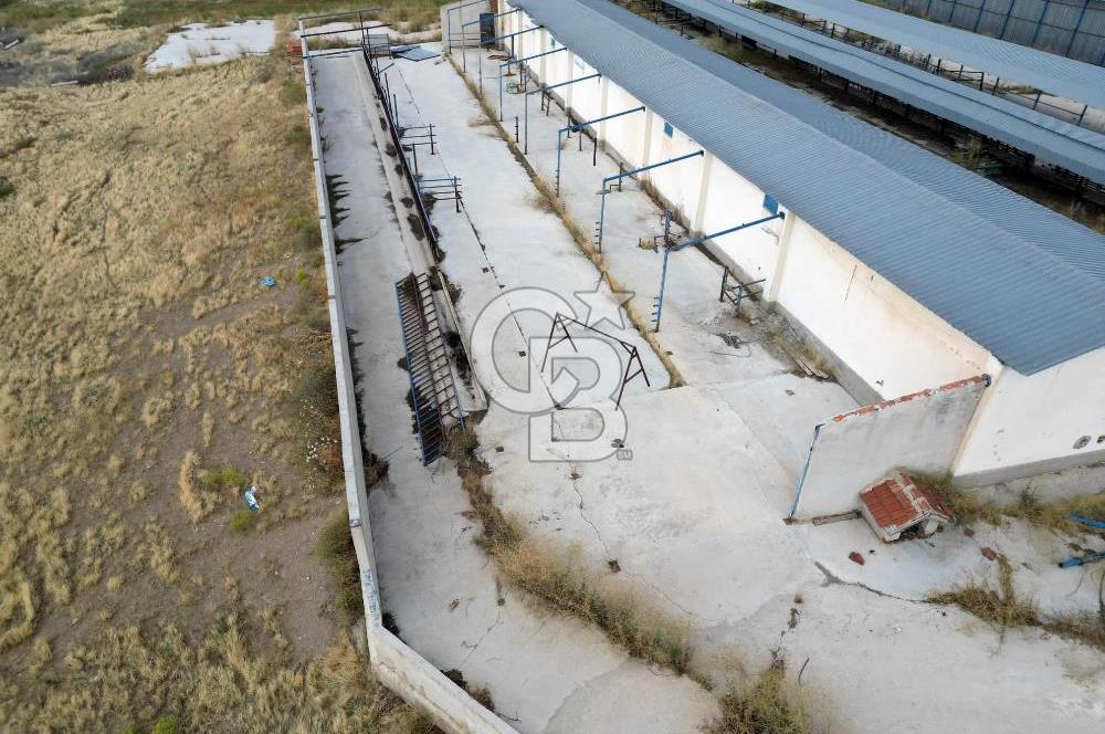 CB ENVOY'DAN ANKARA POLATLI KARGALI KÖYÜ KİRALIK ÇİFTLİK