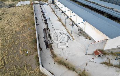 CB ENVOY'DAN ANKARA POLATLI KARGALI KÖYÜ KİRALIK ÇİFTLİK