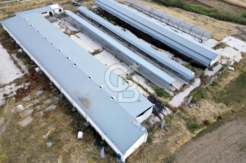 CB ENVOY'DAN ANKARA POLATLI KARGALI KÖYÜ KİRALIK ÇİFTLİK