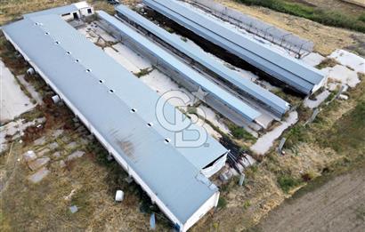 CB ENVOY'DAN ANKARA POLATLI KARGALI KÖYÜ KİRALIK ÇİFTLİK