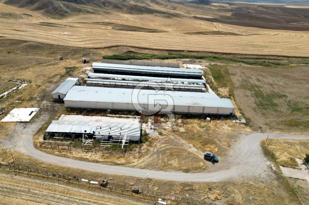 CB ENVOY'DAN ANKARA POLATLI KARGALI KÖYÜ KİRALIK ÇİFTLİK