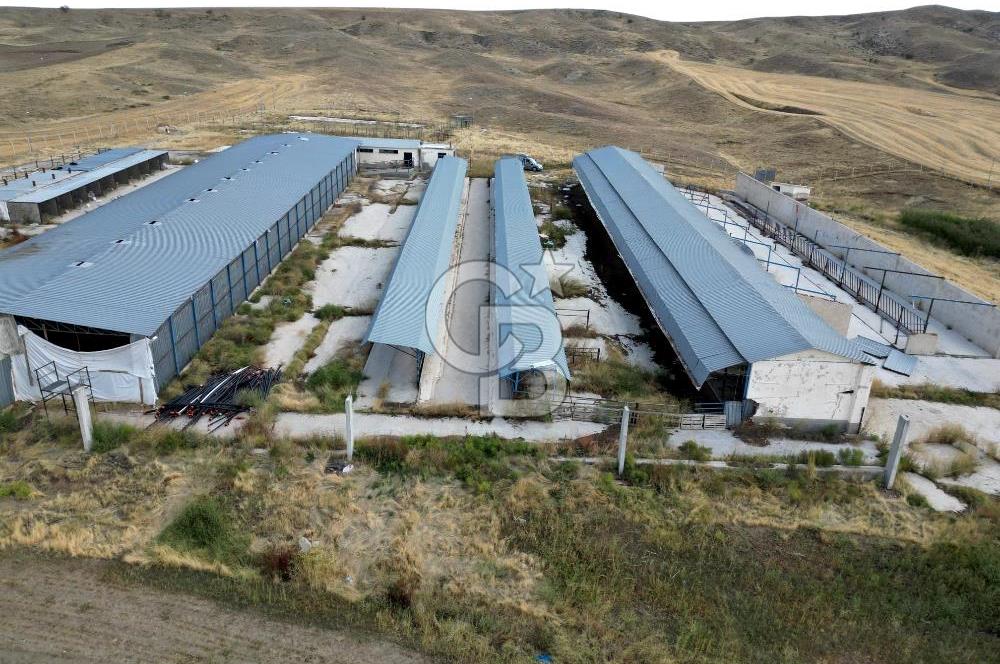 CB ENVOY'DAN ANKARA POLATLI KARGALI KÖYÜ KİRALIK ÇİFTLİK