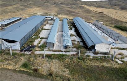 CB ENVOY'DAN ANKARA POLATLI KARGALI KÖYÜ KİRALIK ÇİFTLİK