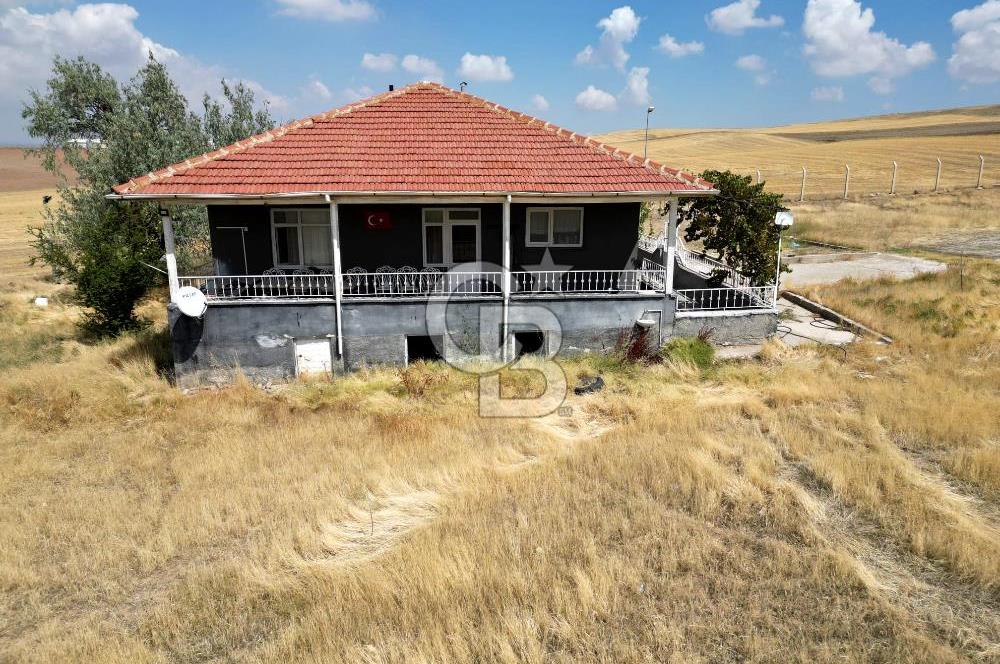 CB ENVOY'DAN ANKARA POLATLI KARGALI KÖYÜ KİRALIK ÇİFTLİK