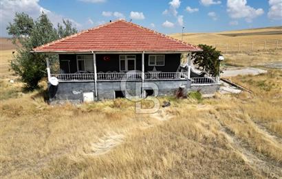 CB ENVOY'DAN ANKARA POLATLI KARGALI KÖYÜ KİRALIK ÇİFTLİK