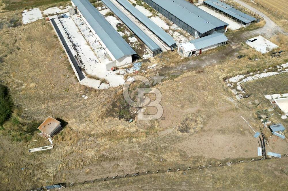 CB ENVOY'DAN ANKARA POLATLI KARGALI KÖYÜ KİRALIK ÇİFTLİK