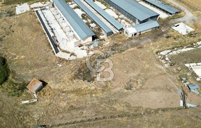 CB ENVOY'DAN ANKARA POLATLI KARGALI KÖYÜ KİRALIK ÇİFTLİK