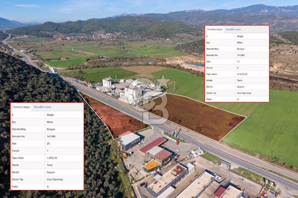 Muğla Milas'da Ana Yola 150 Metre Cepheli Satılık Tarla