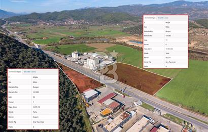 Muğla Milas'da Ana Yola 150 Metre Cepheli Satılık Tarla