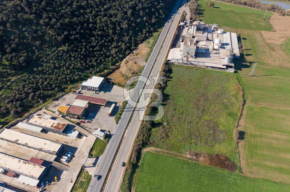 Muğla Milas'da Ana Yola 150 Metre Cepheli Satılık Tarla