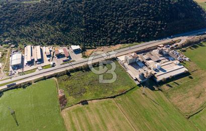 Muğla Milas'da Ana Yola 150 Metre Cepheli Satılık Tarla