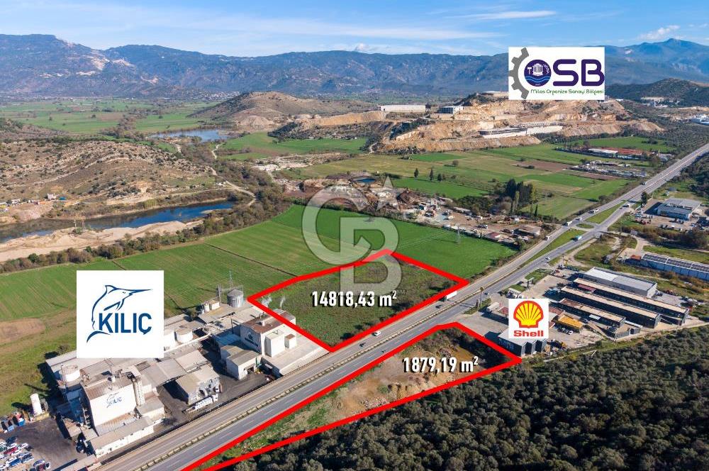 Muğla Milas'da Ana Yola 130 Metre Cepheli Satılık Tarla