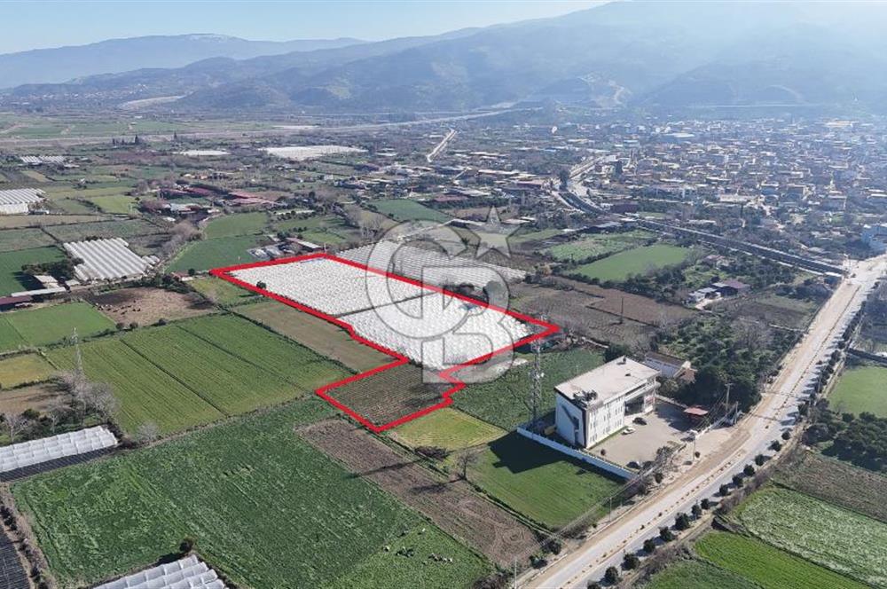 AYDIN  YENİ PAZAR DA  SATILIK TARLA