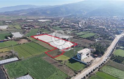 AYDIN  YENİ PAZAR DA  SATILIK TARLA