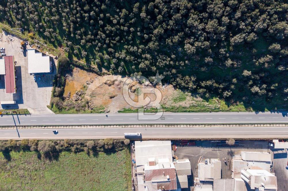 Muğla Milas'da Ana Yola 130 Metre Cepheli Satılık Tarla