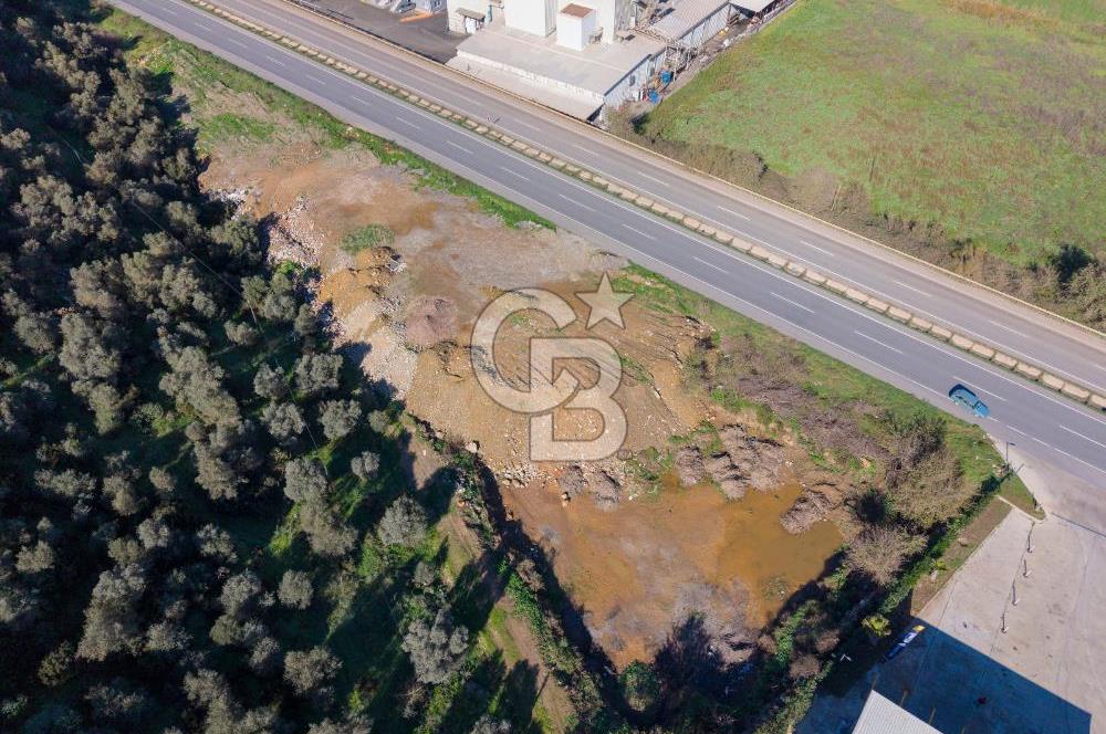 Muğla Milas'da Ana Yola 130 Metre Cepheli Satılık Tarla