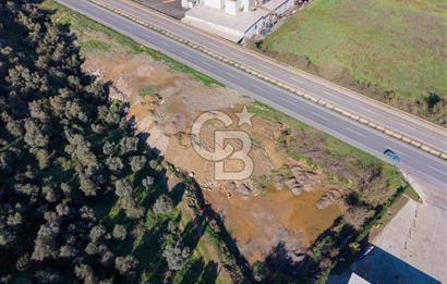 Muğla Milas'da Ana Yola 130 Metre Cepheli Satılık Tarla
