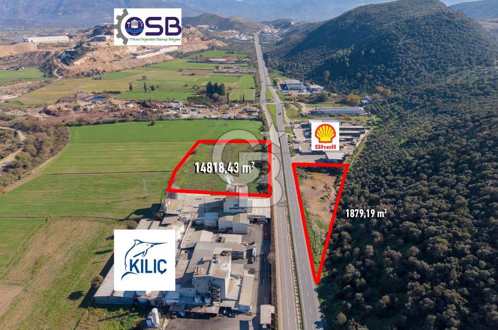 Muğla Milas'da Ana Yola 130 Metre Cepheli Satılık Tarla