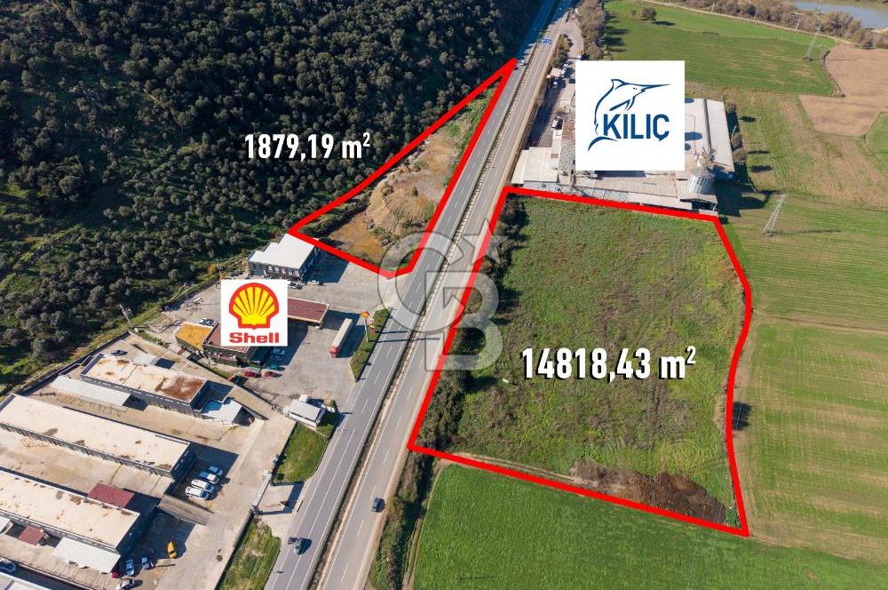 Muğla Milas'da Ana Yola 150 Metre Cepheli Satılık Tarla