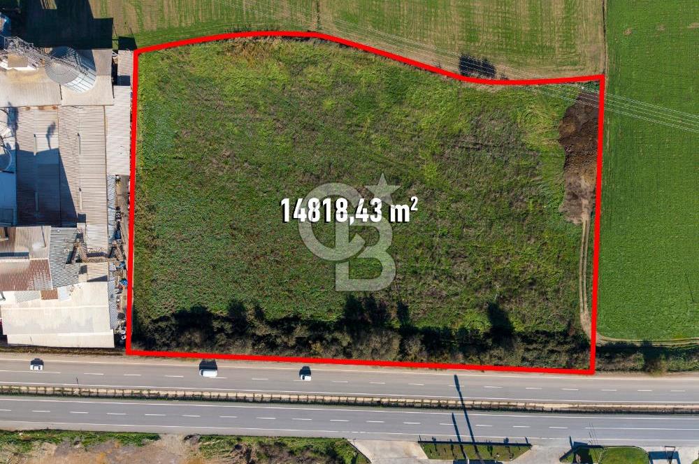 Muğla Milas'da Ana Yola 150 Metre Cepheli Satılık Tarla