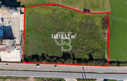 Muğla Milas'da Ana Yola 150 Metre Cepheli Satılık Tarla