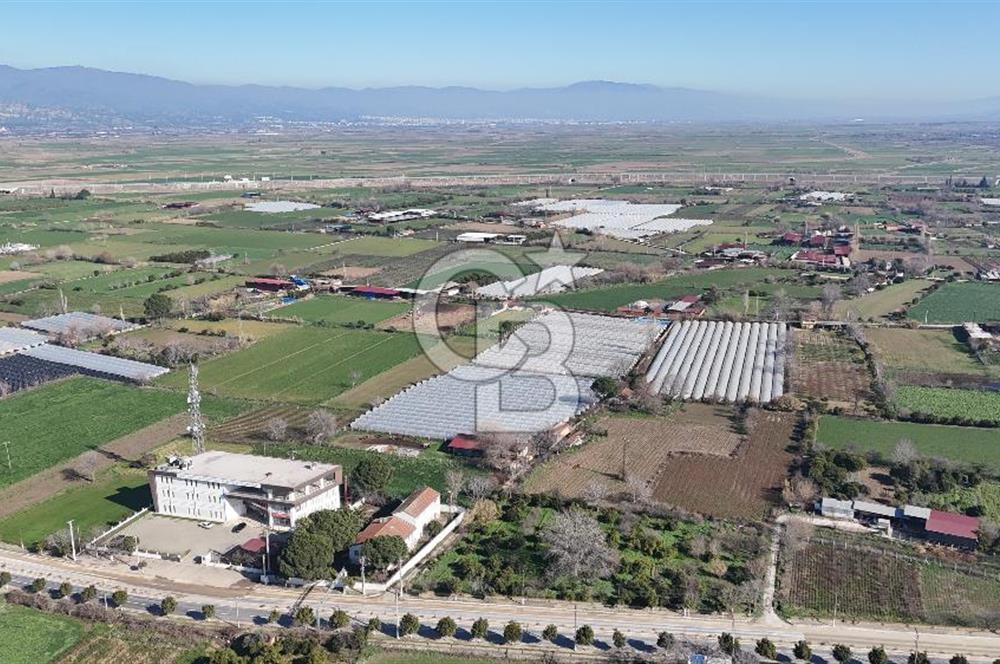 AYDIN  YENİ PAZAR DA  SATILIK TARLA