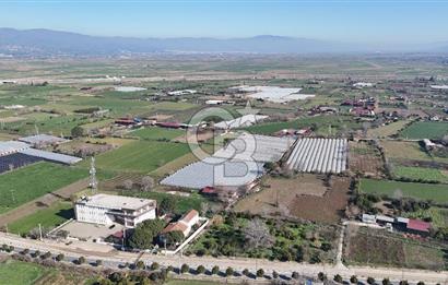 AYDIN  YENİ PAZAR DA  SATILIK TARLA