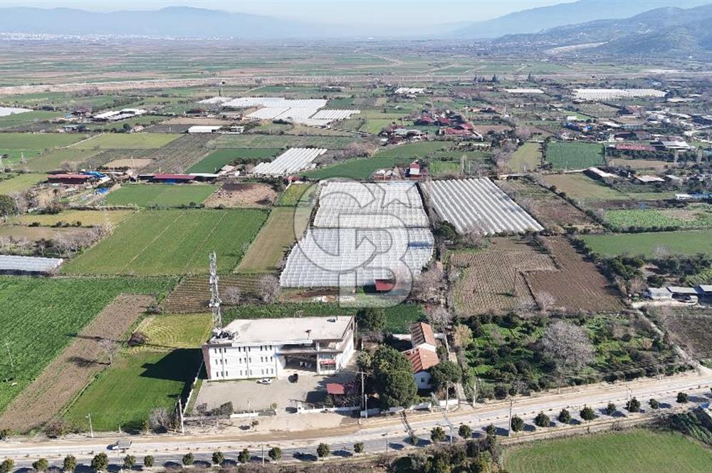 AYDIN  YENİ PAZAR DA  SATILIK TARLA