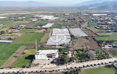 AYDIN  YENİ PAZAR DA  SATILIK TARLA