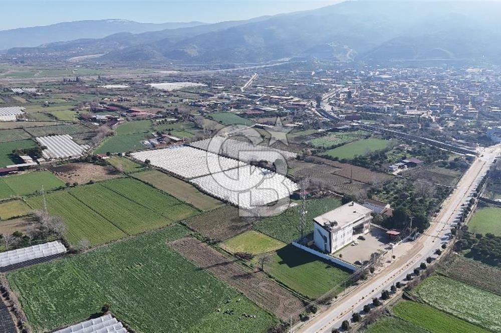 AYDIN  YENİ PAZAR DA  SATILIK TARLA