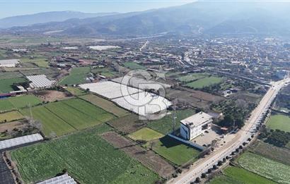 AYDIN  YENİ PAZAR DA  SATILIK TARLA