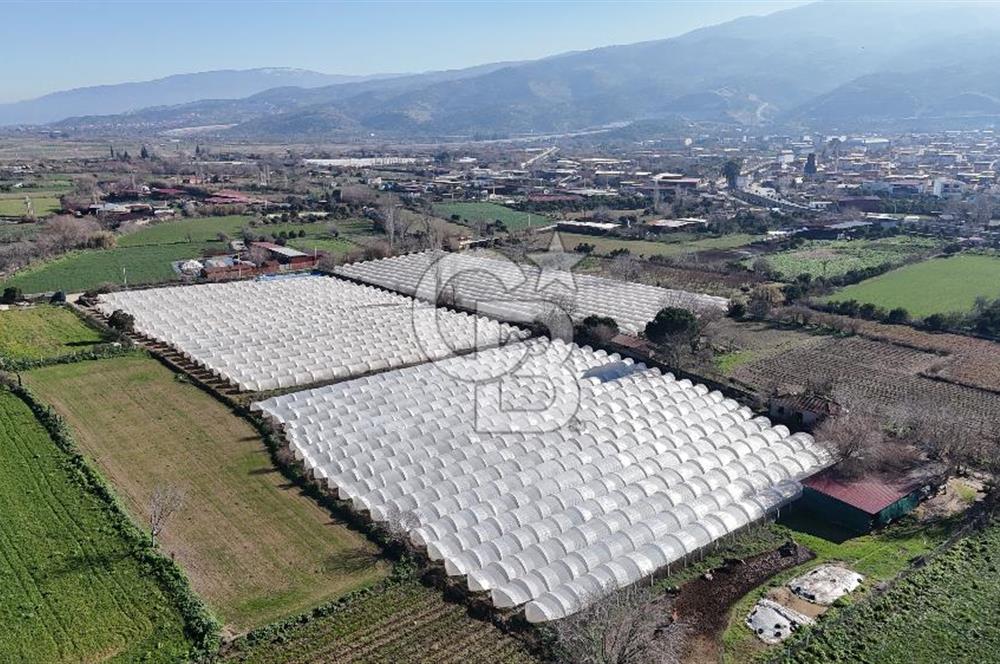 AYDIN  YENİ PAZAR DA  SATILIK TARLA