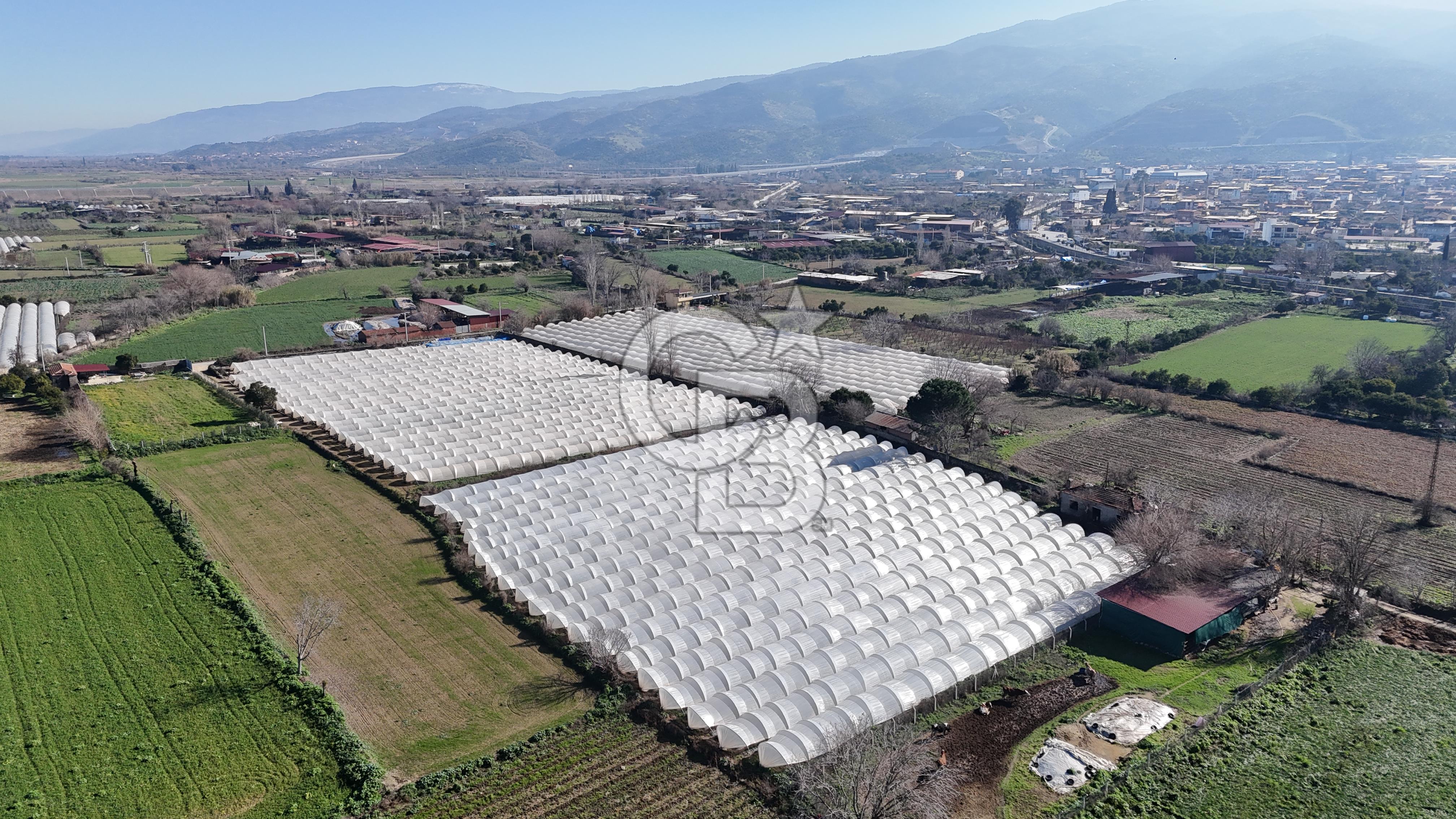 AYDIN  YENİ PAZAR DA  SATILIK TARLA