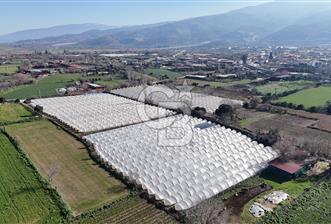 AYDIN  YENİ PAZAR DA  SATILIK TARLA - 4 - 326870