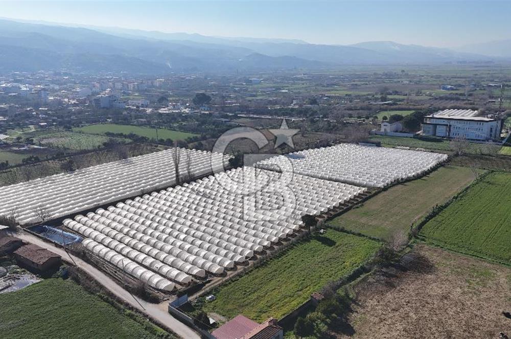 AYDIN  YENİ PAZAR DA  SATILIK TARLA