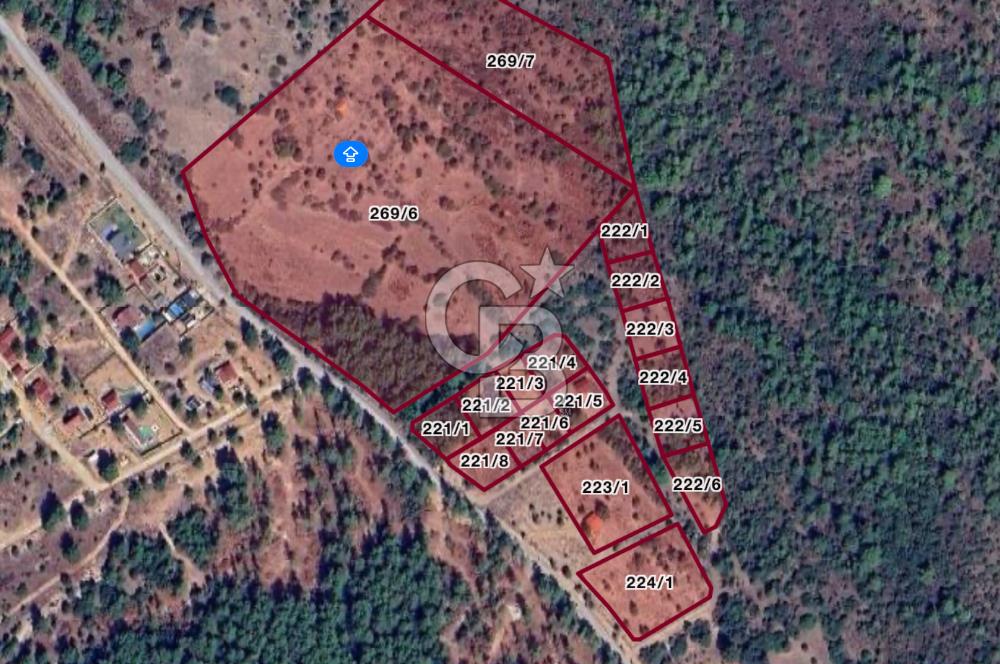 Urla Zeytinler'de 963 m2 Doğa İçinde Arsa