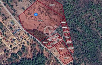 Urla Zeytinler'de 963 m2 Doğa İçinde Arsa
