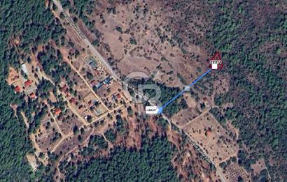 Urla Zeytinler'de 963 m2 Doğa İçinde Arsa