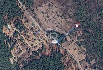 Urla Zeytinler'de 963 m2 Doğa İçinde Arsa - 1 - 328430