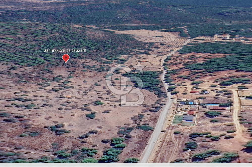 Urla Zeytinler'de 963 m2 Doğa İçinde Arsa