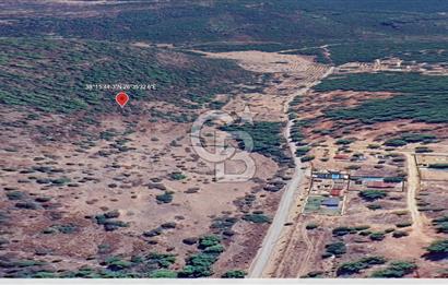 Urla Zeytinler'de 963 m2 Doğa İçinde Arsa