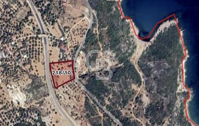 KARABURUN MORDOĞAN SATILIK ZEYTİNLİK KAGİR EV