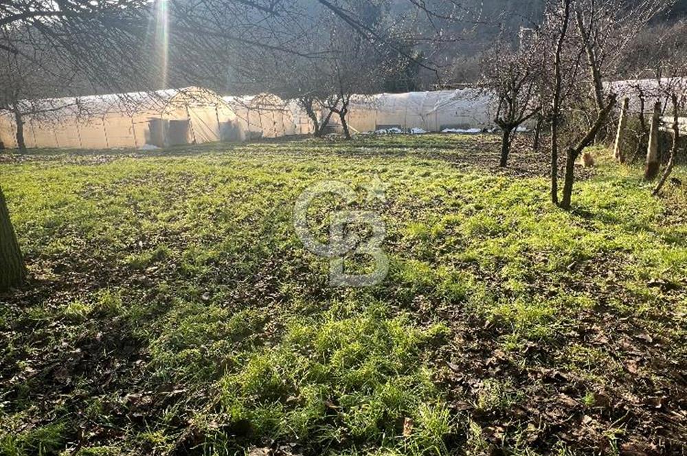 Karabük öğlebelin de satılık arsa 